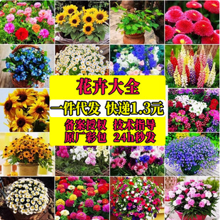 ̫ꖻ���ո��N���ܷN�Ӵ�ȫ�Nޱ��ɏ�M����޹�²����տ��̨����