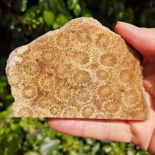 �羳���N��Ȼˮ��ɺ����ʯ�ջ���ʯ��Ƭ�Ҿ��b�����[�����l