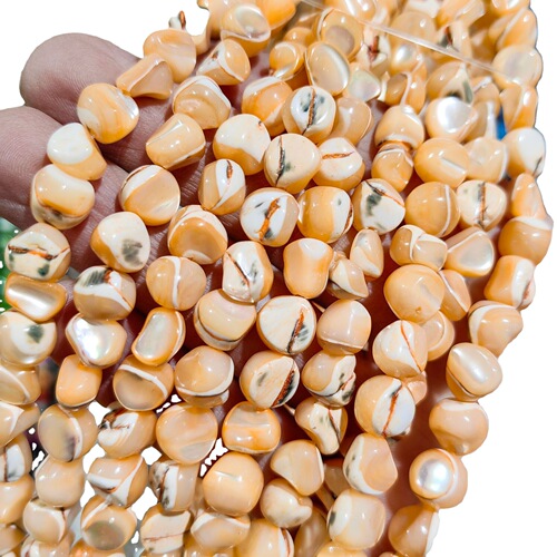 Natural Shell Hoop Conch Beads 8mm Multicolor Random Shaped Unformed Semi-Finished DIY Shell Jewelry Accessories