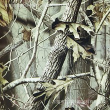 �Բ�ˮ�Dӡ���S�� ���~ˮ�DӡĤ һ��ˮ�DӡĤ���S��