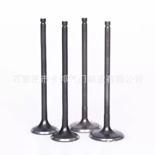 厂家供应高品质发动机进排气门 245390-0   245802-4 气门