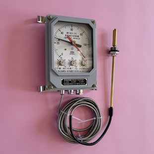 Ll Huanren Instrument Factory Direct Bwy-803A (Th) Temperature Indicator Controller Transformer Oil Level Temperature