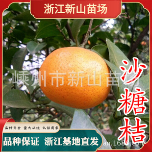 �o���������ɳ�ǽ��ĕ�ɰ���٘��ɰ�ǽ�����Ʒ�޽ӎ������ԏV��