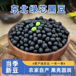 绿芯黑豆东北五谷杂粮黑豆芝麻糊豆浆奶用黑龙江杂粮豆绿心豆子