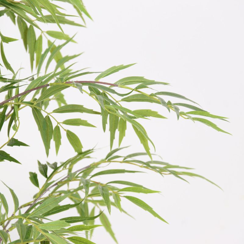 仿真绿植黄天竹南天竹植物盆景新中式室内软装造景假树盆栽摆件|undefined