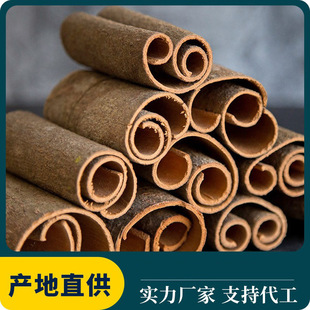 ��Ƥ��ˇ��������V����Ƥ���ϴ�ȫ���l�������ô��ϵؔ�؛ɢ�b