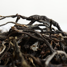 ���l ����ն��� 2021���ϰ������� �紺�� ɢ��  ����