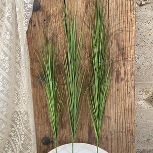 �����JȔ�� ��β�� ���[�ݾƵ��Ɍ��zӰ�쾰��cܛ�b�b���ֲ��