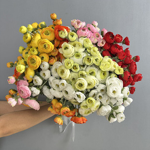 �ձ���ĵ������7�^ֲ�qɽ�軨�ٻ���c���߼Ҿ��b���¶ɏ��õ