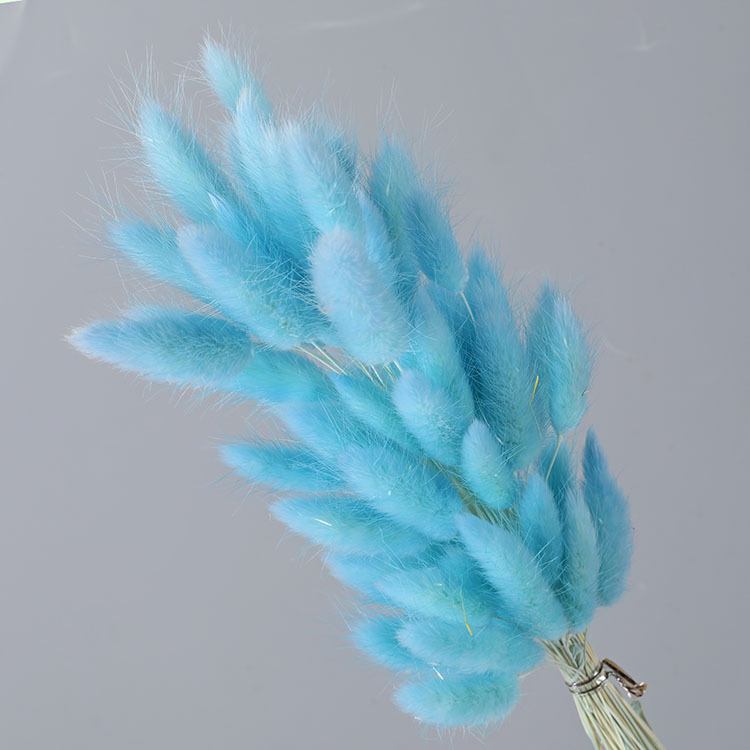 La flor eterna de la flor de la cola de conejo hierba seca 60 piezas al por mayor Dogtail hierba seca ramo de flores decoración DIY conejo hierba de la cola
