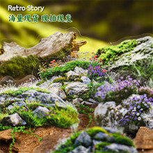 RetroStory̦�\ϵ��PET�N�������\��¶�͹���Ȼֲ���֎��쾰�b�