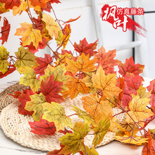 �f�}�����}�����쾰�������b��ٷ���t���~�ٗl��ڼ٘��~��