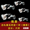 Wholesale [6 pairs of peacock fish white dresses] Five pairs of pair of preparations (sending fish food)