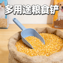 �Ӻ��������϶����P���и�؛����P�N��ʳ���P؈������Zʳͨ��