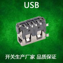 �S��USBĸ��A��AF���w10.0��ɫ�zо��ʽ�����λ����߅ȫ�NƬSMD