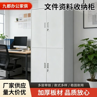 钢制办公室文件柜铁皮柜财务凭证柜档案资料柜带锁抽屉储物柜厂家