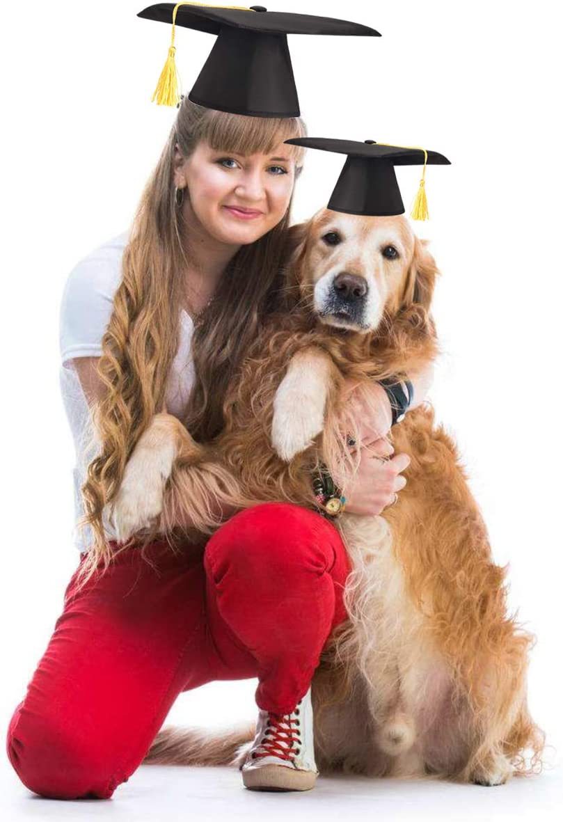 61+c5Dm3p7L._AC_SL1200_