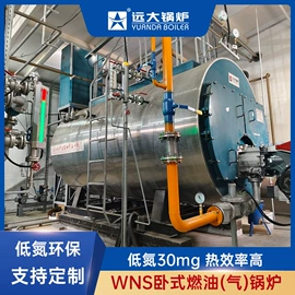 燃气锅炉;燃油锅炉;燃生物质锅炉
