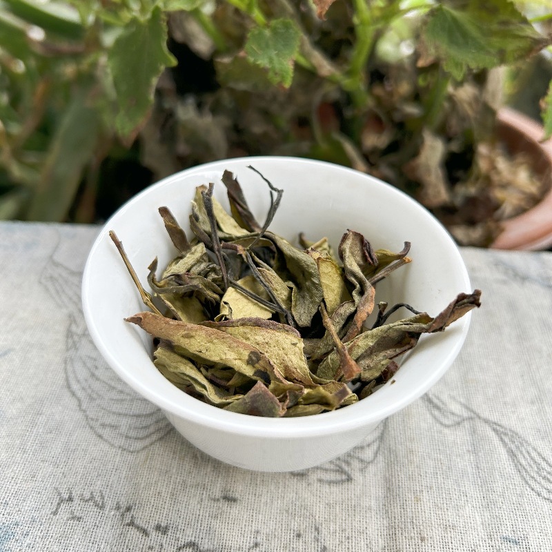 微信图片_20240329195157_副本