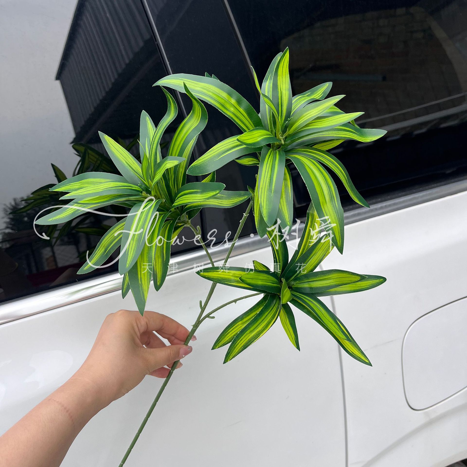 3 tenedores Lily Bamboo-Yellow Core Green (2 #)