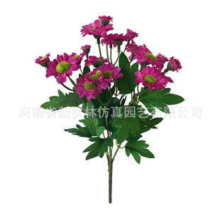 ����7��21�^СҰ����ʾ��r�ս���Ұ�ջ��Ӽһ�c�b[�����l