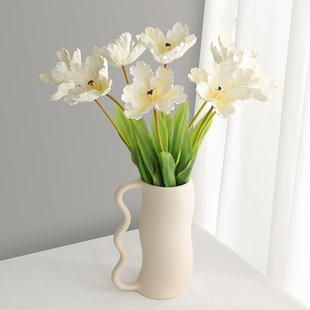 �ҾӘӰ巿�b���ٻ������B������ �����������������������l