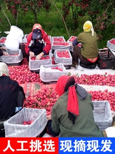 �Fժ�|���u�Ĺ��\������ɳ������֭С�O�����r�����ЋDˮ�����]