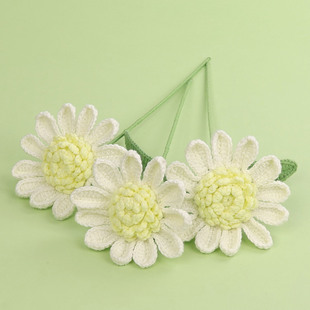��Ʒë��DIY�h��ʢ�ƾ�����ɻ���֦������������Ů�����|�۶Y��