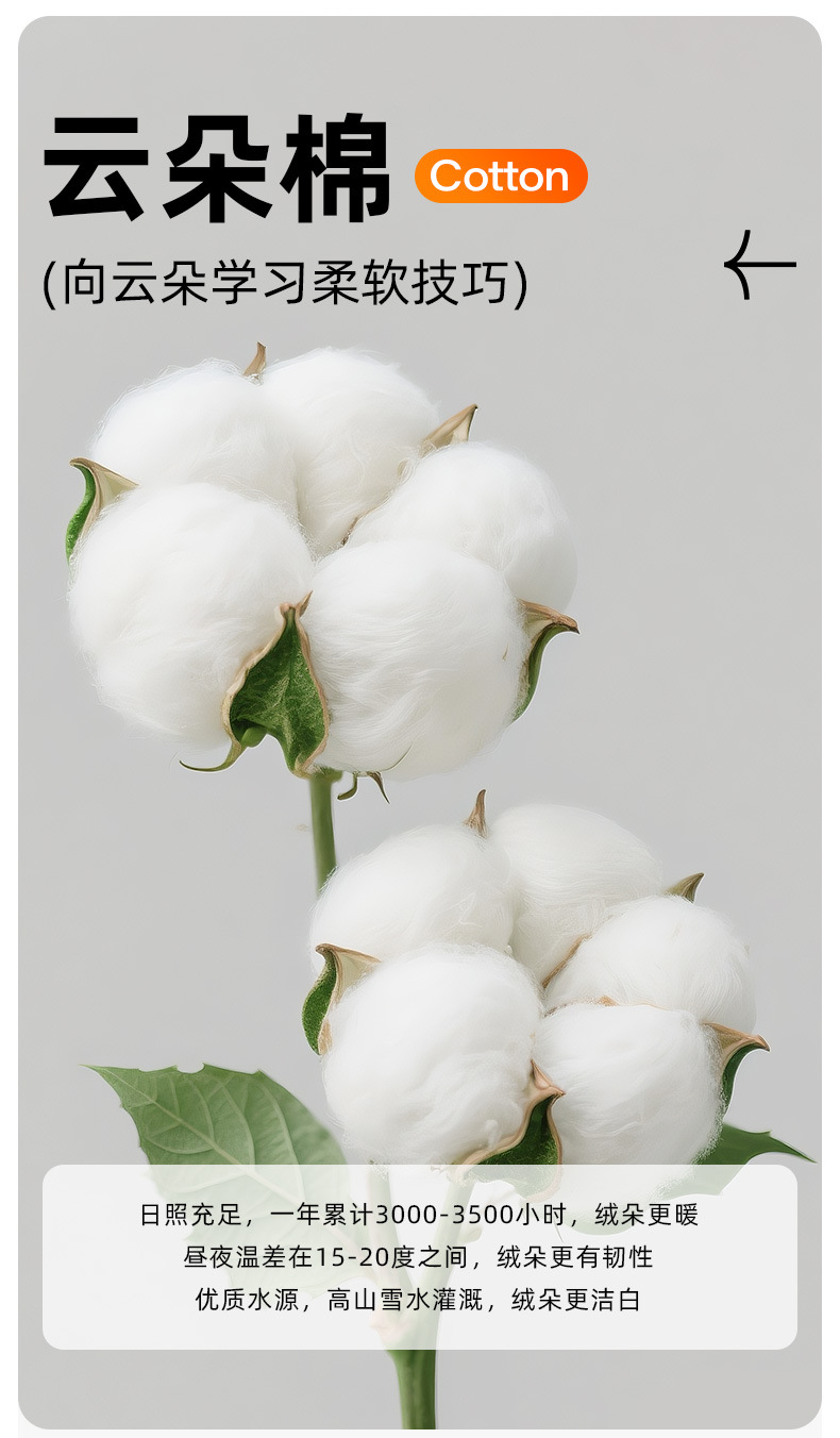 纯棉秋衣套装_09