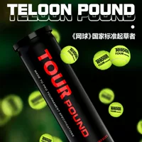 Tianlong Tennis POUND Профессиональный игровой мяч для взрослых Специальный тренировочный мяч теннисный аксессуар P4 ведро 4 комплекта
