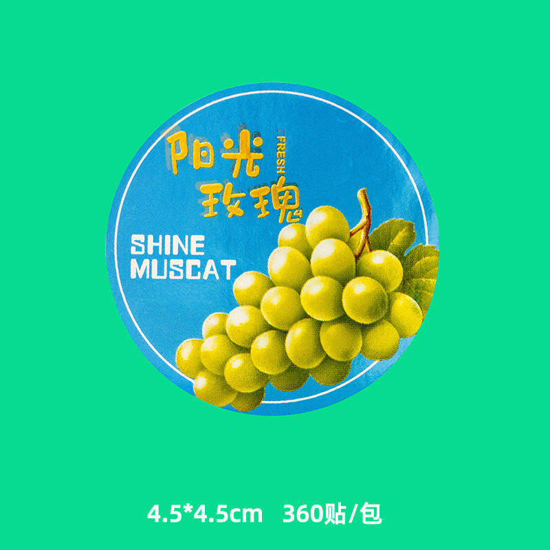 그린 선샤인 로즈 [300개/팩]