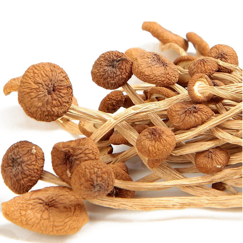 Youkangtai Tea Tree Mushroom Farm Specialty Dry Goods New Products Wholesale Stewed Cordyceps Flowers