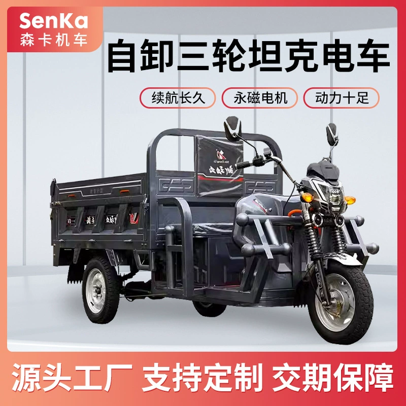 Бесплатная доставка грузового электрического трехколесного цистерна самосвала домашнего груза