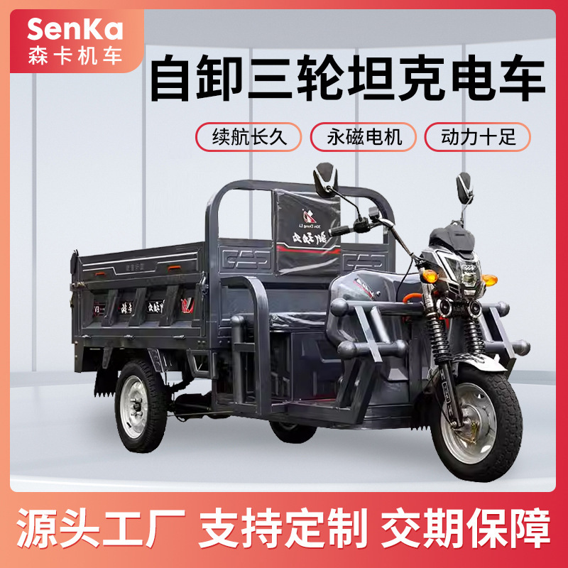 Free Shipping Mountain Truck Climbing Cargo Electric Tricycle Tank Dump Home Pulling Goods Three-Bouncer Export