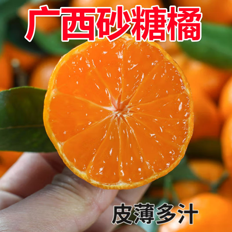 砂糖橘首图6