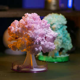 益智趣味儿童科学小实验魔法手工制作DIY纸树开花生长化学种植结