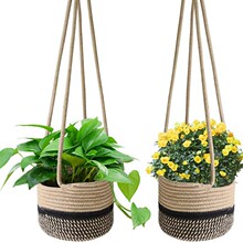 ���K���K���@ֲ�ﻨ�@�Ӓ�@�Ғ�ڒ����Q�����惦����Gֲ�پ�