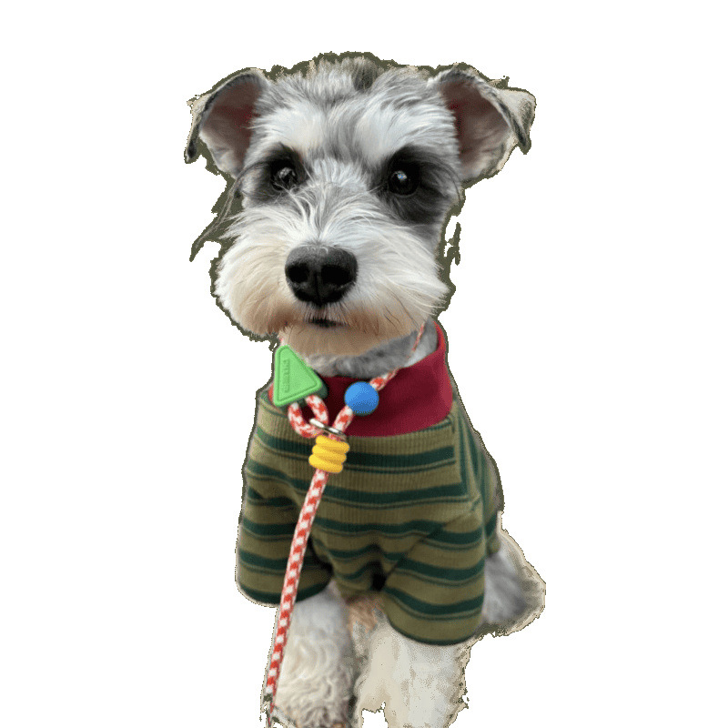 Primavera y verano ropa de perro delgada Teddy Malzies rayas camiseta de cuello redondo básico Schnauzer pequeño y medio perro