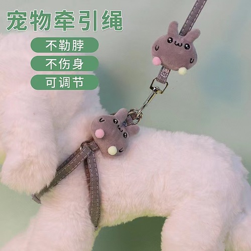 Leash for small Teddy dogs, outdoor walking rope pet supplies manufacturer, non-slip and anti-tangle dog leash