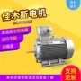 隔爆型三相异步系列电动机