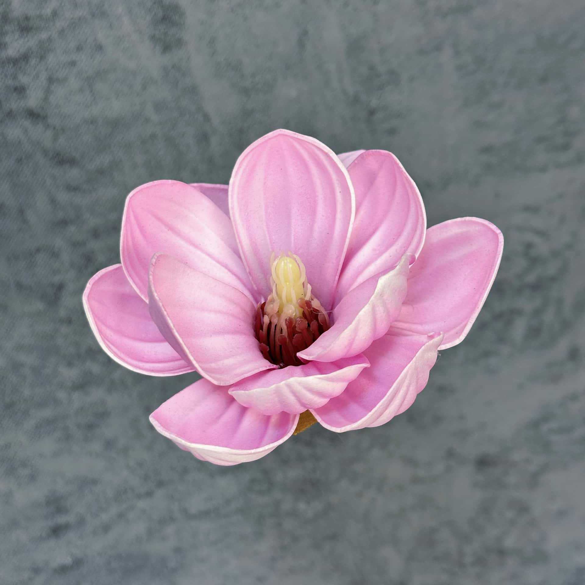 Flor de simulación transfronteriza EVA cabeza de magnolia 13cm tacto tocado kapok decoración decoración decoración flor falsa al por mayor