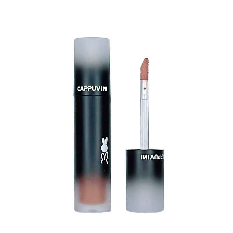 Lipstick, matte lip gloss, translucent shading