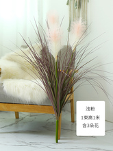 �W�t�JȔ���҃��bٽ����[�����b��ˇ�JȔ�ݻ���ؔ[��