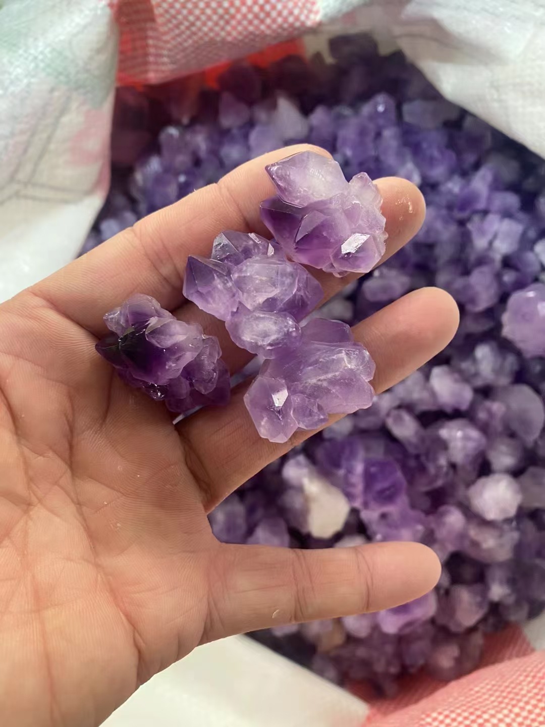 微信图片_20240526140537