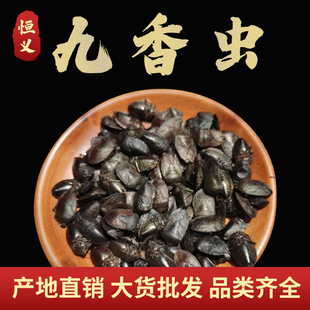 �a��ֱ�N��؛ ���N���x�ș�� �����x