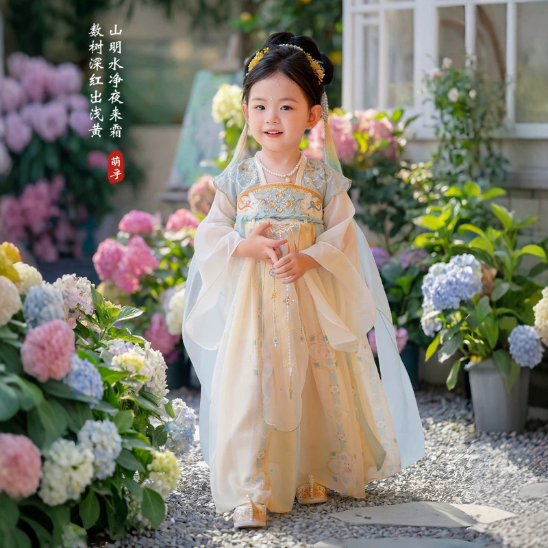 2025 Autumn New Girls' Hanfu Super Fairy Ruqun Children's Mid-Autumn Festival Performance Cute Ancient Costume Princess Dress 2025 Autumn New Girls' Hanfu Super Fairy Ruqun Children's Mid-Autumn Festival Performance Cute Ancient Costume Princess Dress