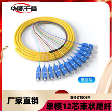 ���]12о����β�wSC���^��ģ���w������ż�FC/ST�^�K�˺�β�w