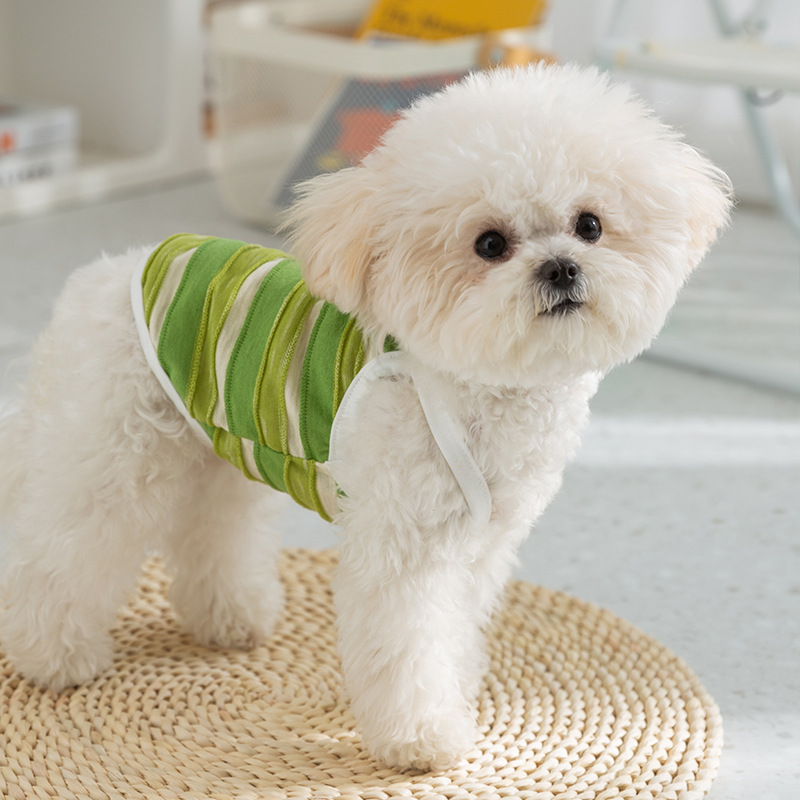 La primavera y el verano delgados transpirables perro rayado pescado tridimensional tracción Sling gato pies lindo perro mascota ropa