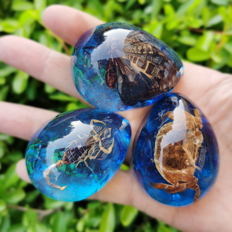 大号水滴形标本昆虫琥珀