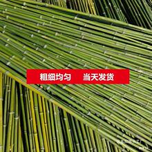 ��Ͳˈ@����߲��S�Ϸ��Ѷ��ǼܗU��h�ʖř�С���Ӽ�������ټ�